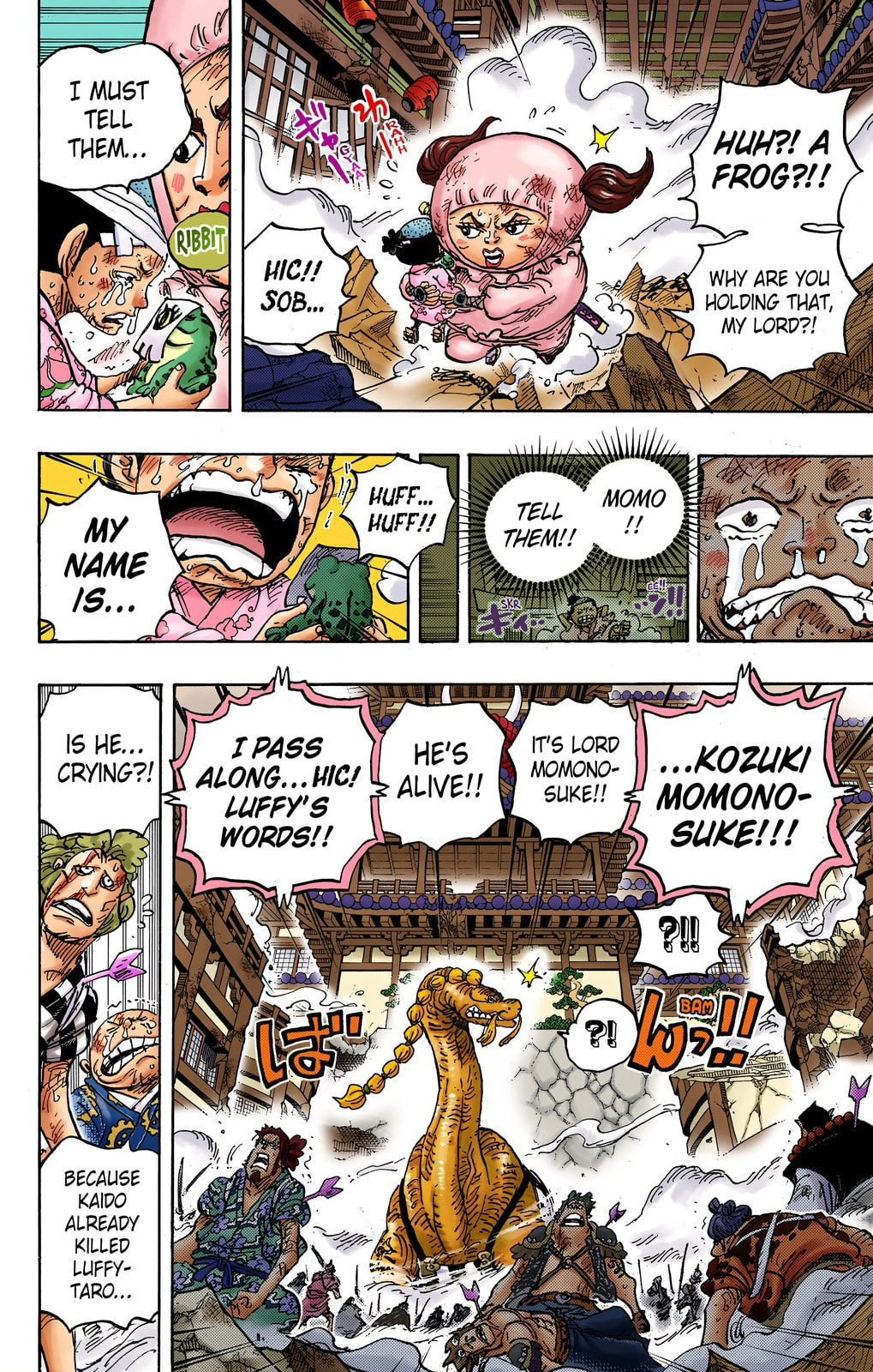 One Piece Digital Colored Chapter 1015 image 11